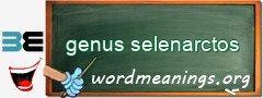 WordMeaning blackboard for genus selenarctos